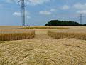 Click image for larger version

Name:	smCrop Circle 011.JPG
Views:	80
Size:	1.03 MB
ID:	445117