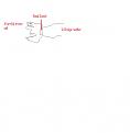 Click image for larger version

Name:	reed short.JPG
Views:	42
Size:	26.3 KB
ID:	446354
