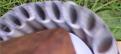 Click image for larger version

Name:	Distortion ABOVE the pipe pieces, CIRCULAR.jpg
Views:	122
Size:	231.3 KB
ID:	449059
