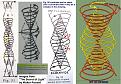 Click image for larger version

Name:	Russell coil 7.jpg
Views:	48
Size:	313.7 KB
ID:	450498