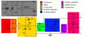 Click image for larger version

Name:	pyrazo timer tuner for relays color coded.gif
Views:	58
Size:	10.6 KB
ID:	450565