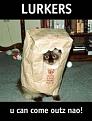 Click image for larger version

Name:	catlurker.jpg.jpeg
Views:	14
Size:	8.8 KB
ID:	450989