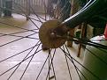 Click image for larger version

Name:	bike dy 2.jpg
Views:	37
Size:	49.3 KB
ID:	451071