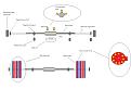 Click image for larger version

Name:	maglev pulse generator.jpg
Views:	148
Size:	66.9 KB
ID:	453149