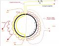 Click image for larger version

Name:	2012-05-06_072328.jpg
Views:	104
Size:	70.7 KB
ID:	453467