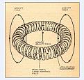 Click image for larger version

Name:	gravity field and coil.jpg
Views:	1040
Size:	66.7 KB
ID:	453573