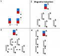 Click image for larger version

Name:	magnetic induction.JPG
Views:	77
Size:	32.4 KB
ID:	455008