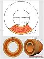 Click image for larger version

Name:	PAT US55565835 Coil.jpg
Views:	45
Size:	147.6 KB
ID:	457154