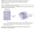 Click image for larger version

Name:	Magnetic Domains 3.png
Views:	167
Size:	244.1 KB
ID:	457739