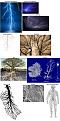 Click image for larger version

Name:	FractalFlows.jpg
Views:	17
Size:	132.4 KB
ID:	457846