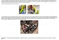 Click image for larger version

Name:	Gravity-powered%20Generators,%20pg.2.jpg
Views:	34
Size:	342.8 KB
ID:	458436