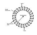 Click image for larger version

Name:	cont closed coil G-part.png
Views:	24
Size:	66.2 KB
ID:	458584