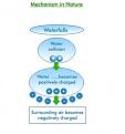 Click image for larger version

Name:	HYDROGEN_BOND_IN_NATURE.jpg
Views:	93
Size:	22.3 KB
ID:	458623