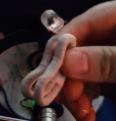 Click image for larger version

Name:	Infinity coil.PNG
Views:	109
Size:	292.9 KB
ID:	459107