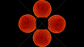 Click image for larger version

Name:	ferro_hologram_bg.png
Views:	28
Size:	1.89 MB
ID:	461601