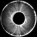Click image for larger version

Name:	hollow center.jpg
Views:	76
Size:	9.6 KB
ID:	461722