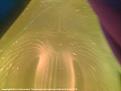 Click image for larger version

Name:	20180715_142706.jpg
Views:	7
Size:	126.9 KB
ID:	461786