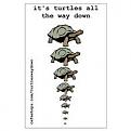 Click image for larger version

Name:	Turtles .jpg
Views:	41
Size:	6.1 KB
ID:	462524
