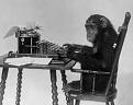 Click image for larger version

Name:	Monkey.jpg
Views:	43
Size:	66.7 KB
ID:	462561