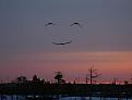 Click image for larger version

Name:	smile.jpg
Views:	38
Size:	84.7 KB
ID:	463297