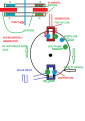 Click image for larger version

Name:	SUPER MOTOR GENERATOR.png
Views:	71
Size:	34.2 KB
ID:	464235