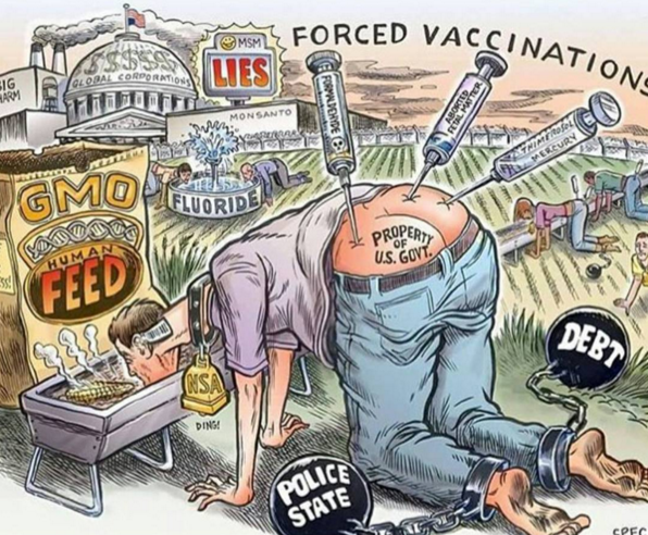 Click image for larger version

Name:	Vacc-lies-Vaccine-Propoganda.png
Views:	32
Size:	662.7 KB
ID:	497801