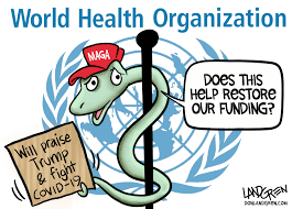 Click image for larger version

Name:	images?q=tbn%3AANd9GcRmBG-Lzem18bptAcB3PTt67XhM28Ff6IP5Xxkd1gDeSufJnMuB&amp;usqp=CAU.png
Views:	29
Size:	16.4 KB
ID:	497813