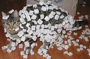 Click image for larger version

Name:	310px-Cat_demonstrating_static_cling_with_styrofoam_peanuts.jpg
Views:	119
Size:	29.6 KB
ID:	499096