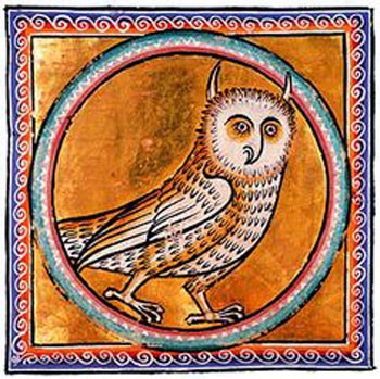 Click image for larger version  Name:	F032_Owl.jpg Views:	0 Size:	63.0 KB ID:	501456