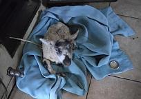 Click image for larger version

Name:	IMG_20210319_080307~2.jpg
Views:	100
Size:	186.6 KB
ID:	504236