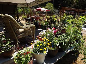 Click image for larger version

Name:	DSCF5181.JPG
Views:	97
Size:	470.4 KB
ID:	512067